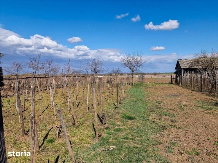 Casă cu 1 camere cu Teren 2676 Mp în Șimian