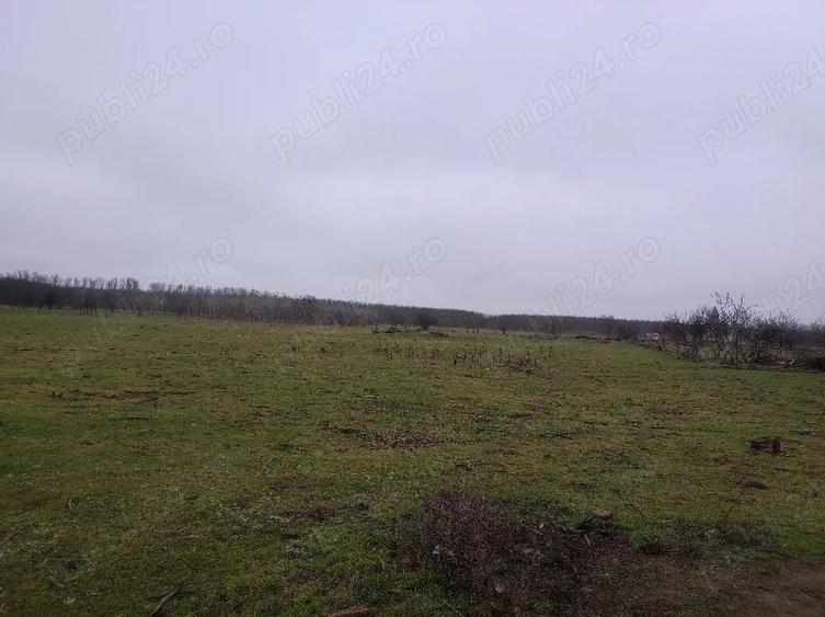 Teren de 8140 mp, în Băltenii de Jos
