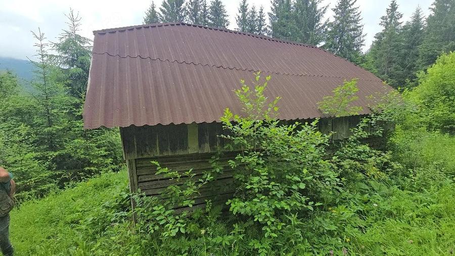 Teren de 9800 mp, în Central
