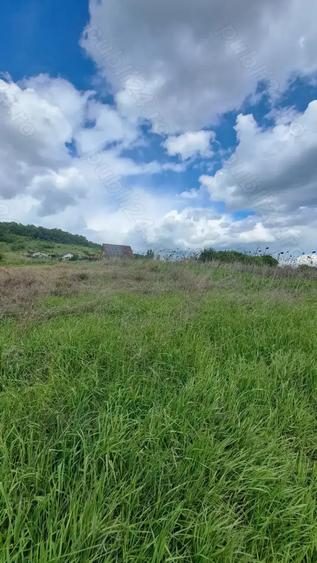 Vand teren extravilan , 637mp, Lombului, Cluj-Napoca - 9