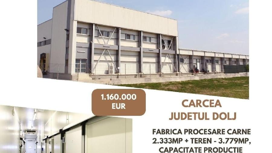 Spațiu industrial, de 2,333 mp, în Cârcea