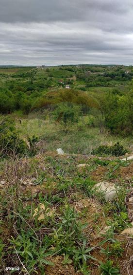 Teren de 1826 mp, în Paleu