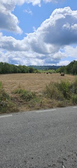 Teren de 11600 mp, în Păltiniș