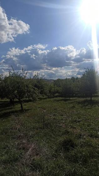 Casă individuală cu 4 camere cu Teren 12530 Mp în Panticeu