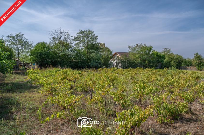 Casă individuală cu 4 camere cu Teren 2106 Mp în Potârnichea