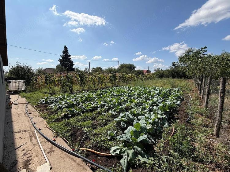 Casă cu Teren 1244 Mp în Jilavele