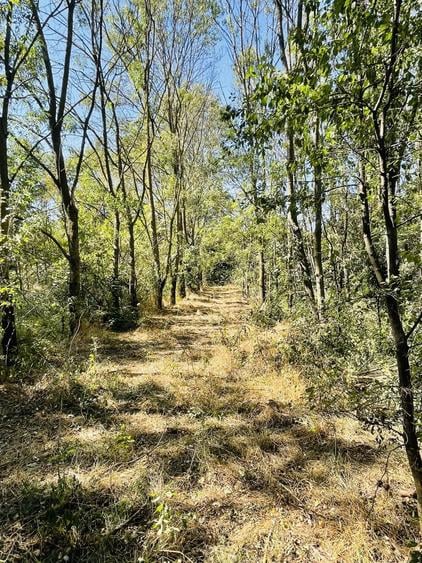 Teren de 5000 mp, în Valea Părului