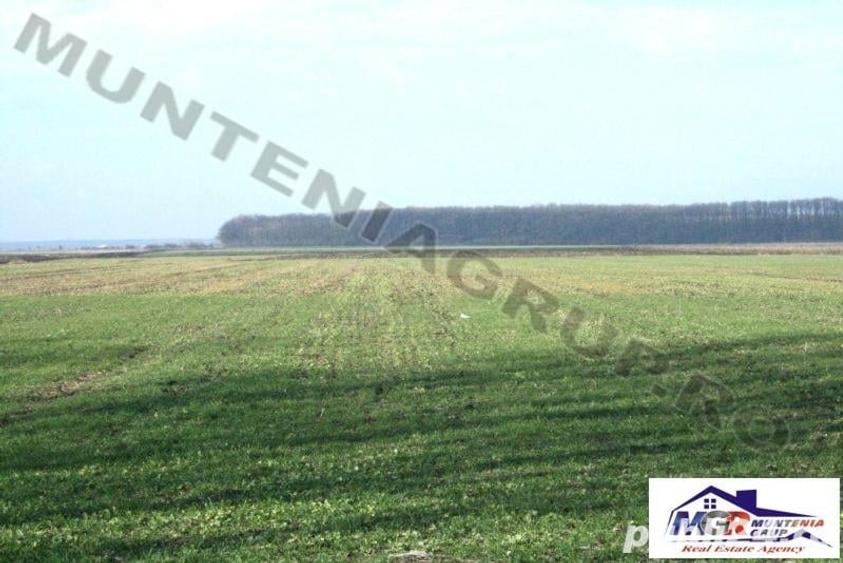 Teren de 20000 mp, în Afumați