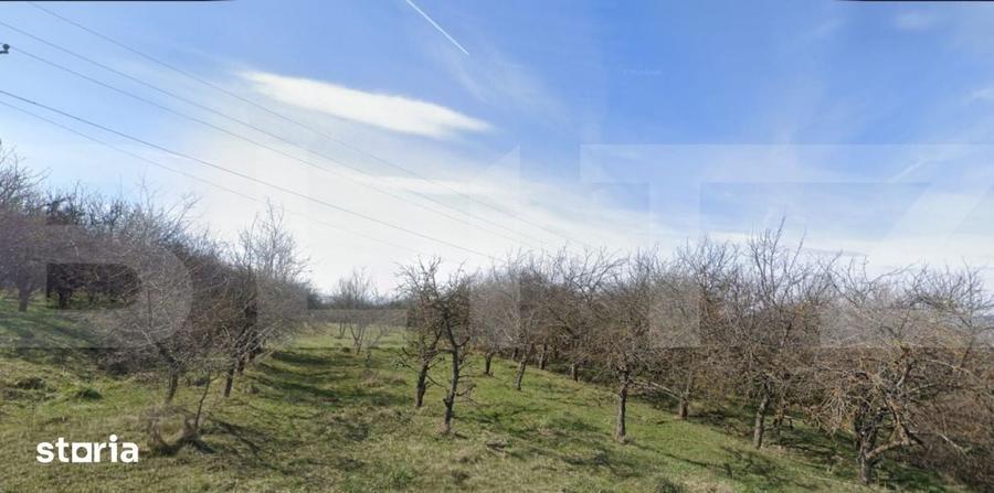 Teren de 1000 mp, în Feleacu
