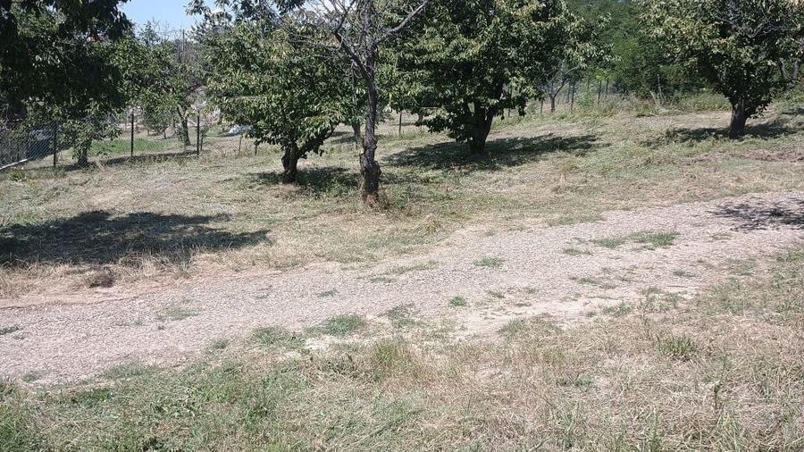 Teren de 3000 mp, în Chicerea