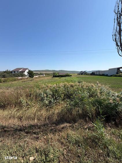 Teren de 1000 mp, în Buhoci