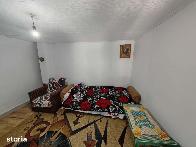 Casă cu 8 camere cu Teren 1150 Mp în Blăgești