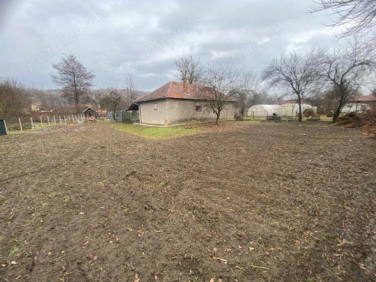 Vand casa in Pestisu Mic - 4
