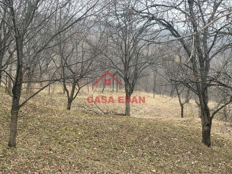 Casă cu Teren 1358 Mp în Gura Beliei