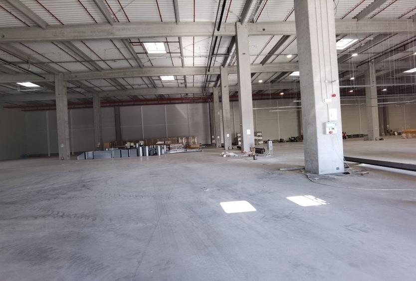 Spațiu industrial, de 100,000 mp, în Periferie