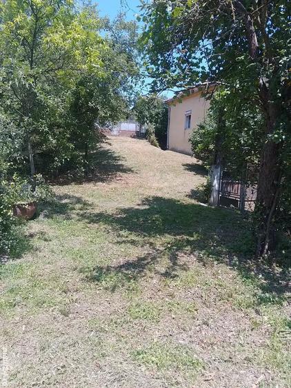 Casă cu 3 camere cu Teren 2000 Mp în Brănișca