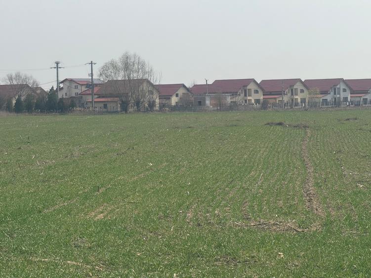 Teren Construcții intravilan de 9200 mp, în Est