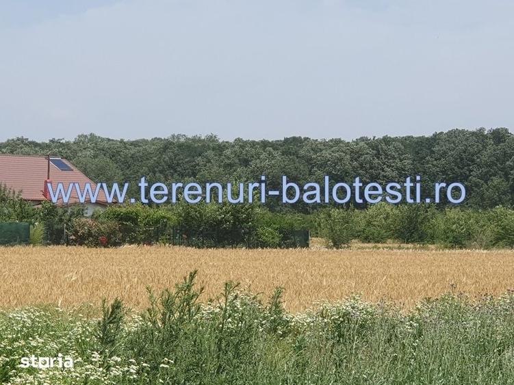 Teren Balotesti, vecinatate padure Sri,19500 euro - 9