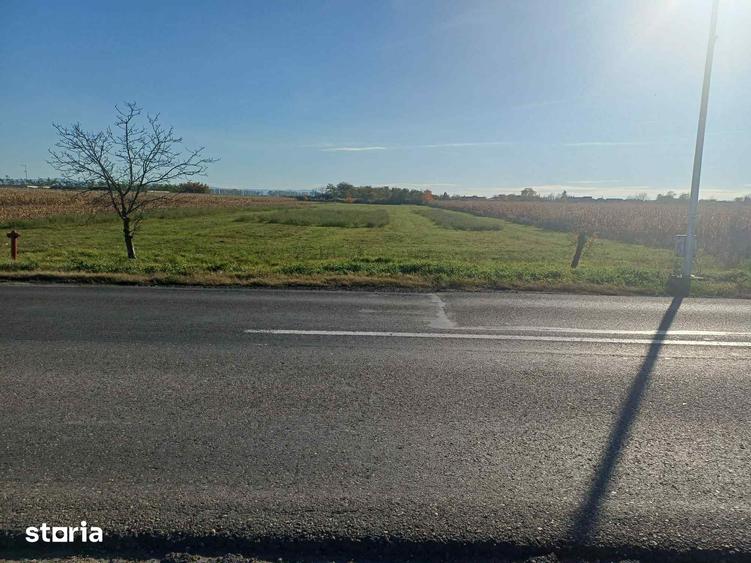 Teren de 8000 mp, în Odoreu