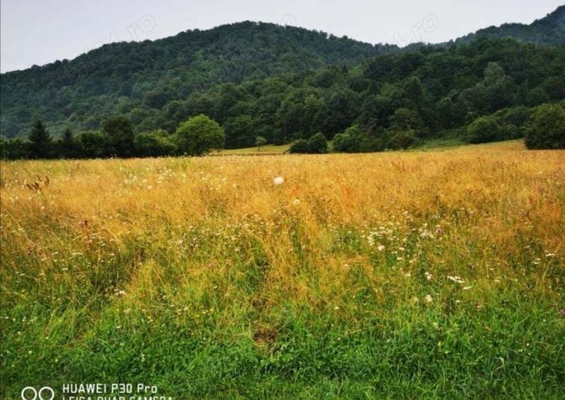 Teren de 1500 mp, în Glăjărie