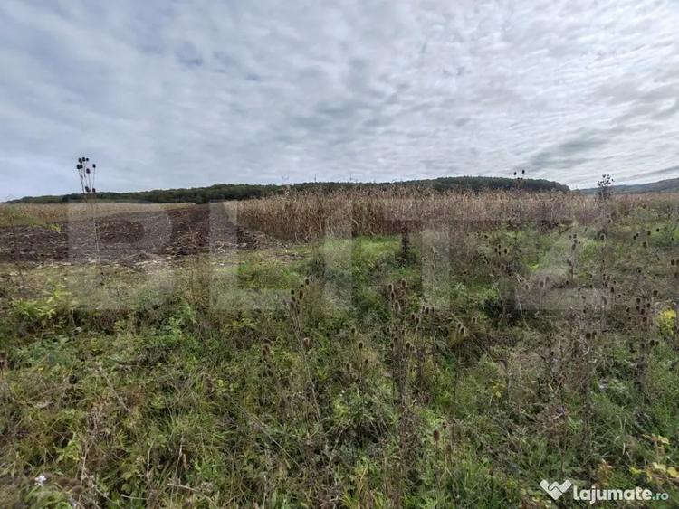 Teren de 2900 mp, în Central