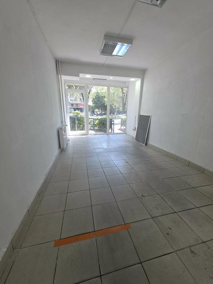 Spatiu comercial de vanzare Alexandru Obregia - Dragos Mladinovici - 9