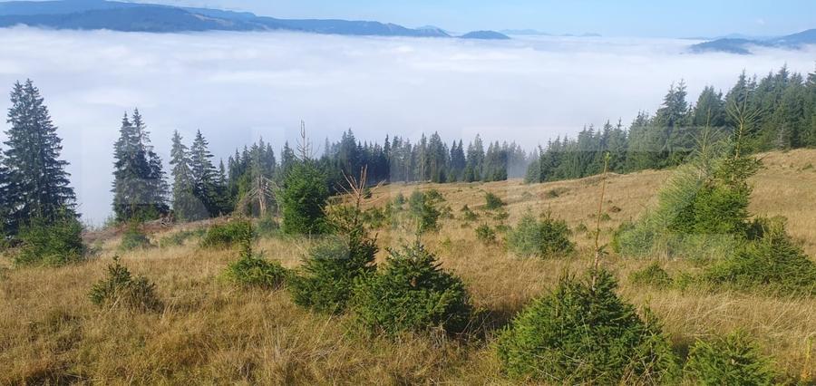 Teren Construcții extravilan de 50000 mp, în Vatra Dornei