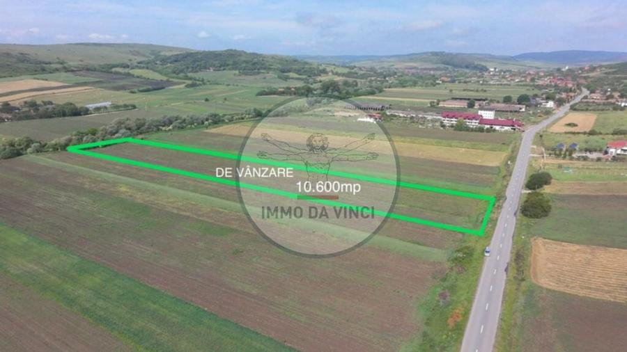 Teren de 10670 mp, în Borșa