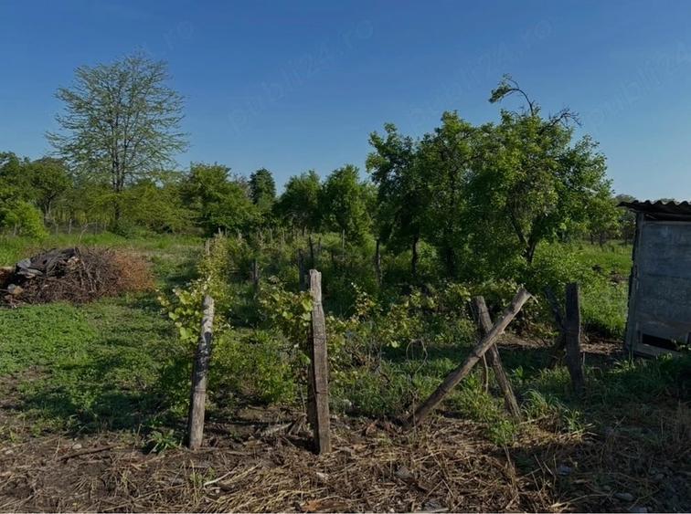 Teren de 1319 mp, în Cocorăștii Grind
