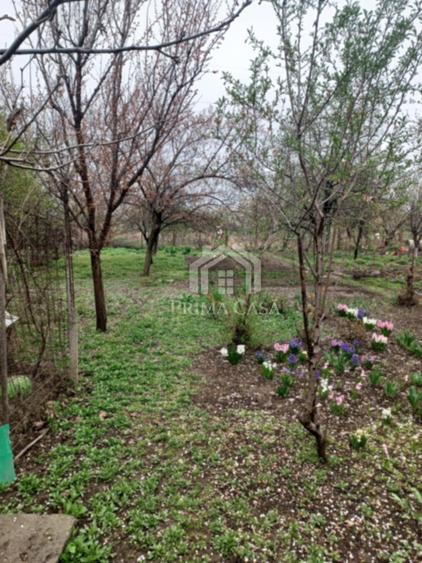 Casă cu 3 camere cu Teren 500 Mp în Dorobanți