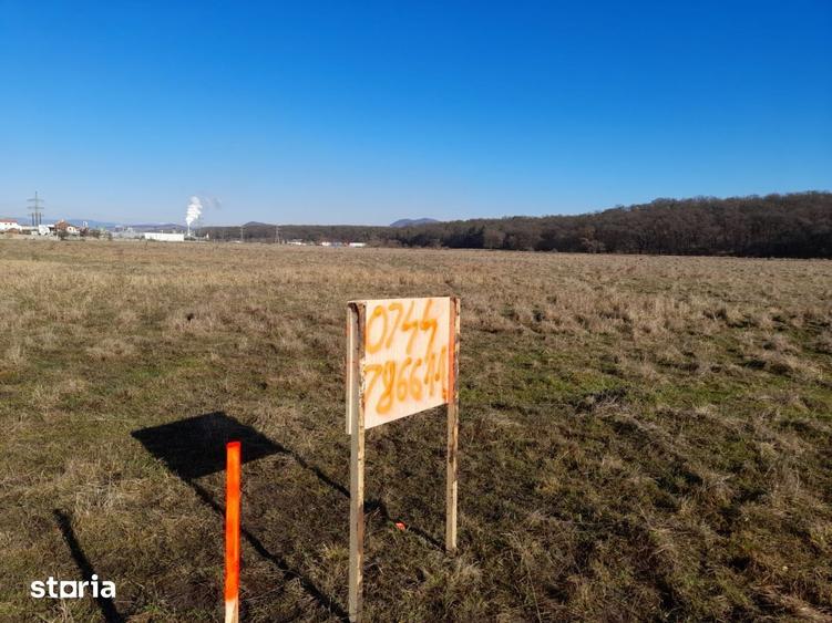 De vanzare teren intravilan Reghin - 6