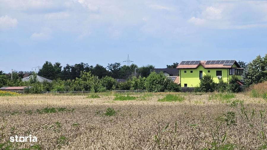 Teren Gulia Tartasesti, padurea Raioasa, investitie premium - 16