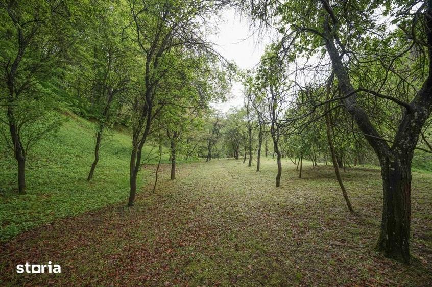 Casă cu 4 camere cu Teren 4891 Mp în Sava