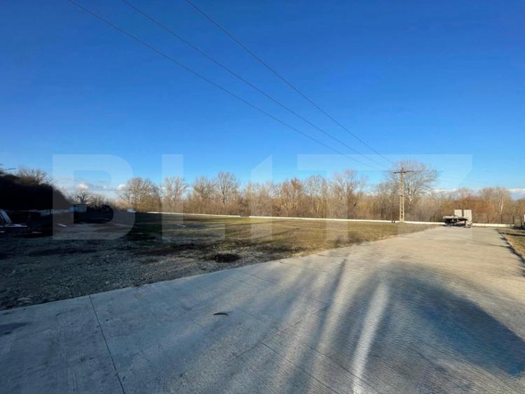 Teren de 6500 mp, în Podari