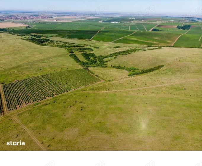 Teren de 13000 mp, în Șicula
