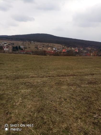 Oportunitate Investitie: Teren 8.000 mp Bistrita Valea Ghinzii - 7