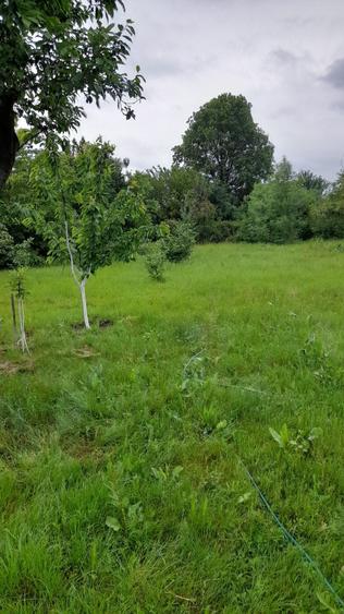 Casă cu 4 camere în Brânceni