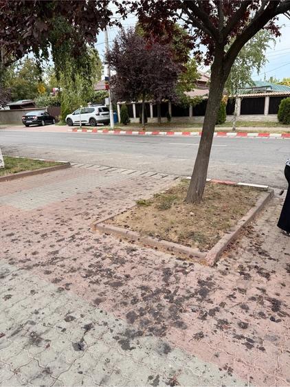 Teren de 300 mp, în Central