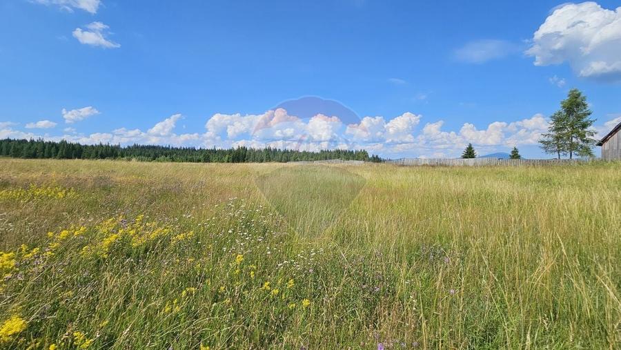 Teren Construcții intravilan de 30930 mp, în Poiana Stampei