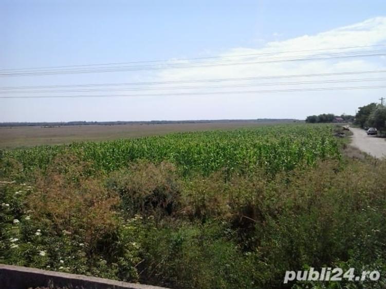 Teren de 7500 mp, în Central