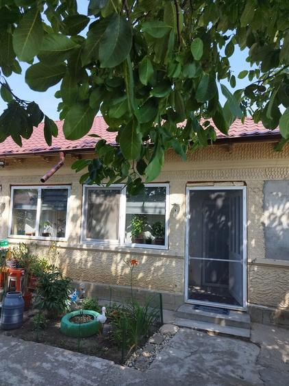 Casă cu Teren 634 Mp în Central