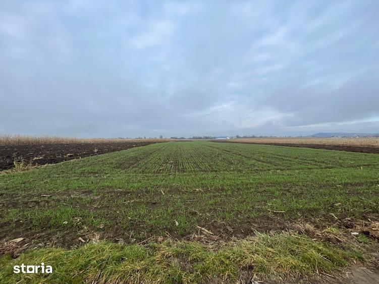 Teren de 1300 mp, în Marginea