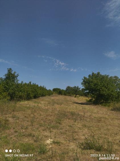 Teren de 3400 mp, în Daia