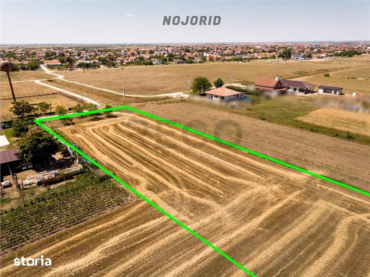 RECO Teren industrial in Nojorid la doar 6km de Oradea - 3