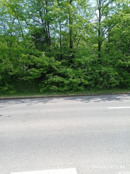 Teren de 12500 mp, în Vadu Anei