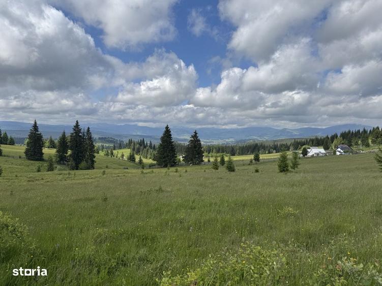 2 Ha teren cu intravilan pe Via Transilvanica; Bucovina - 2