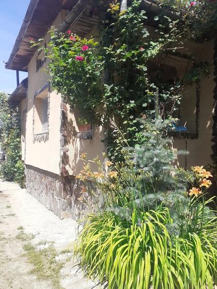 Casă cu 3 camere cu Teren 635 Mp în Ocoliș