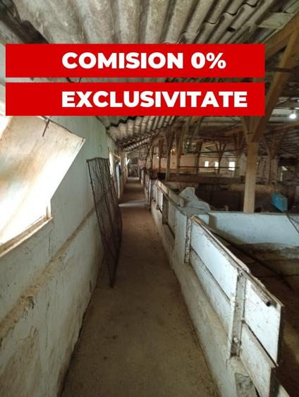 Spațiu industrial, de 317.60000610352 mp, în Nădlac