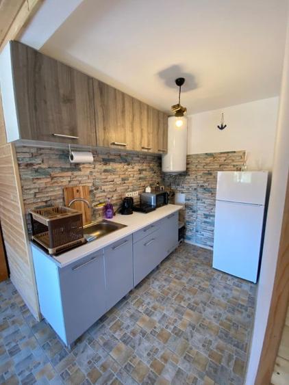 Casă cu 7 camere cu Teren 1790 Mp în Vadu