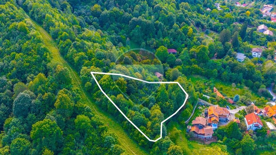 Teren Construcții intravilan de 3094 mp, în Schei